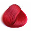 Rose Red