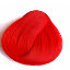Poppy Red