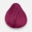 Cerise